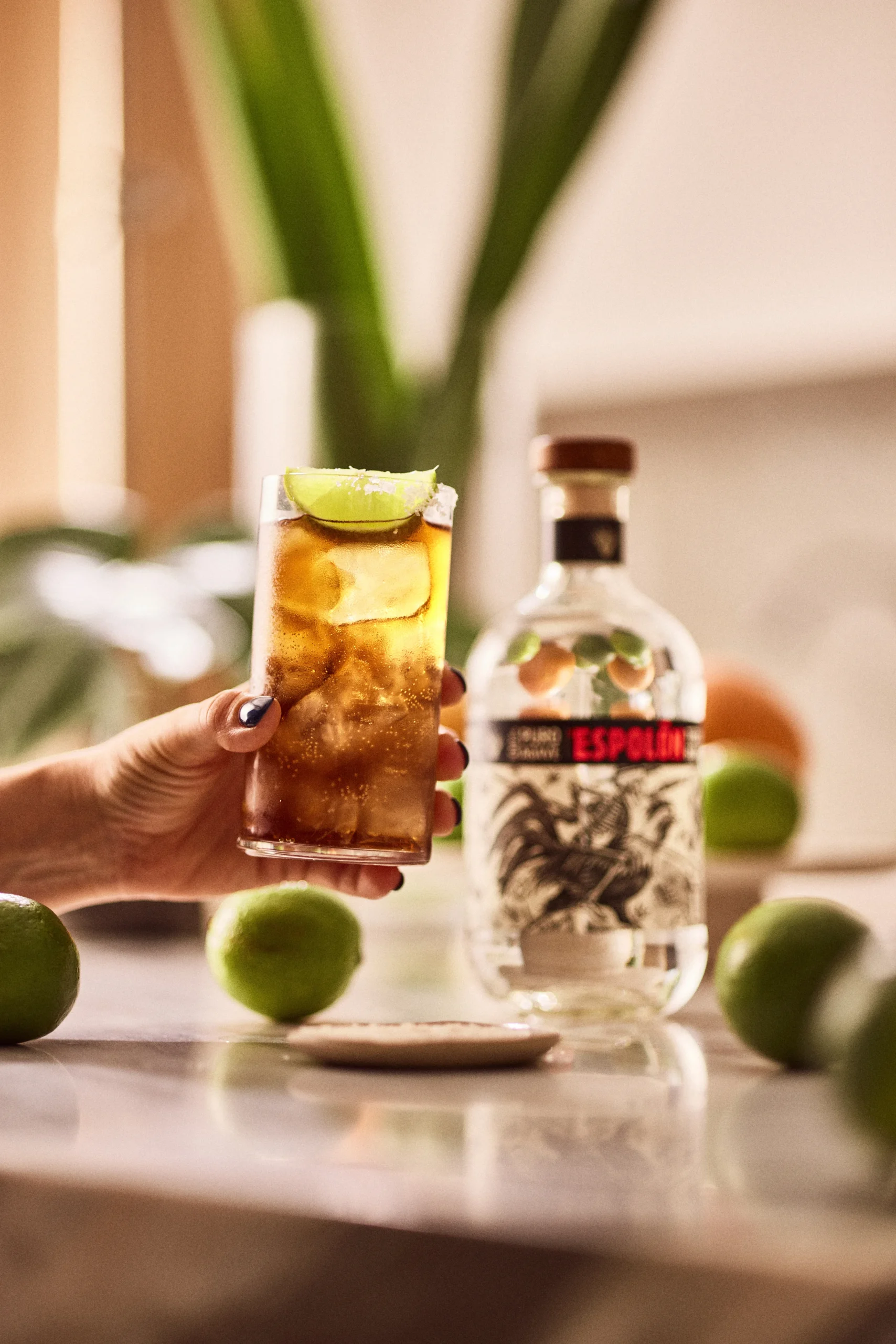 SIMPLE SERVE COCKTAILS Recipe | Espolòn Tequila